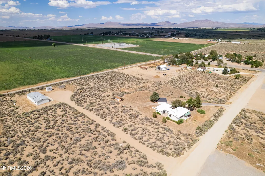 10 Wild Peach Wellington NV 89444