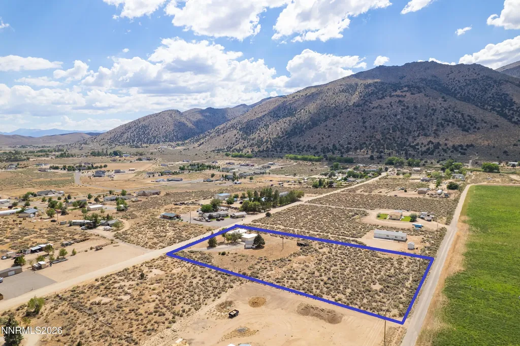 10 Wild Peach Wellington NV 89444