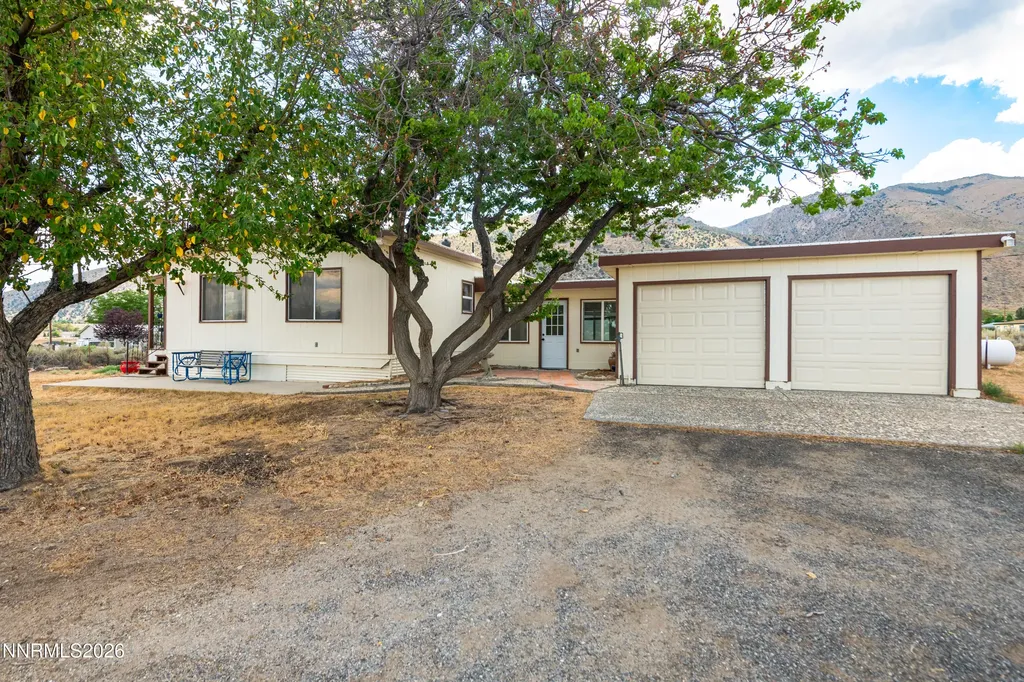 10 Wild Peach Wellington NV 89444