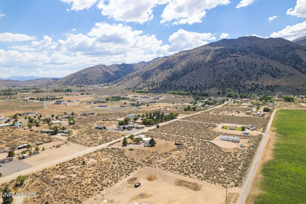 10 Wild Peach Wellington NV 89444