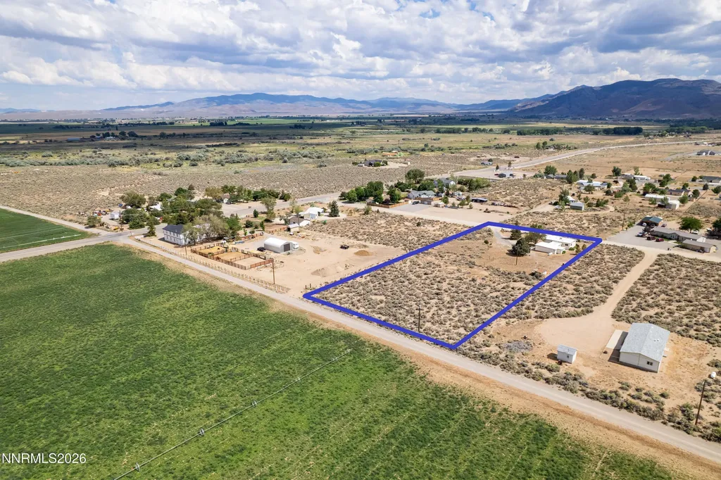 10 Wild Peach Wellington NV 89444