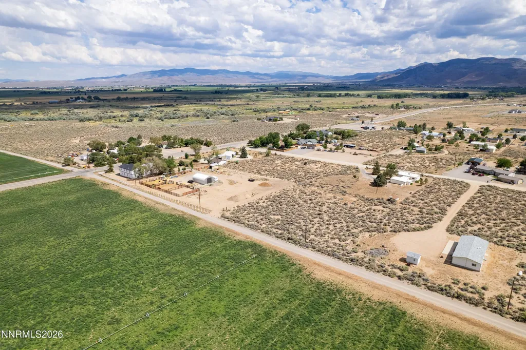 10 Wild Peach Wellington NV 89444