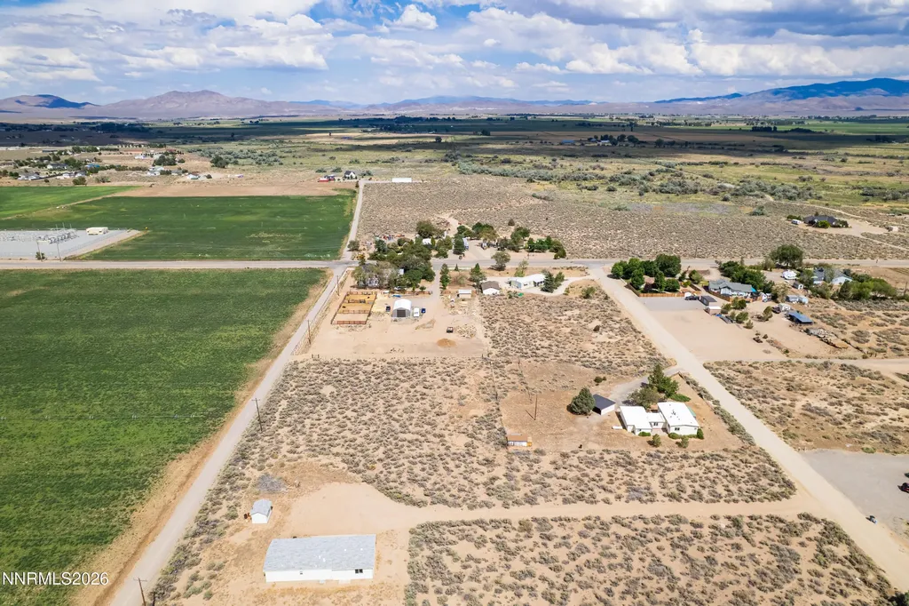 10 Wild Peach Wellington NV 89444