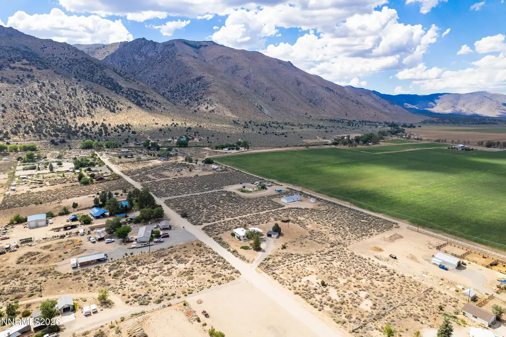 10 Wild Peach Wellington NV 89444