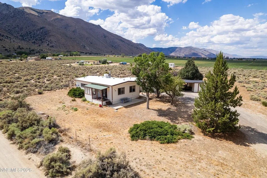 10 Wild Peach Wellington NV 89444