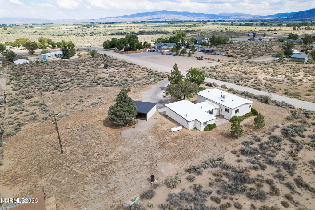 10 Wild Peach Wellington NV 89444