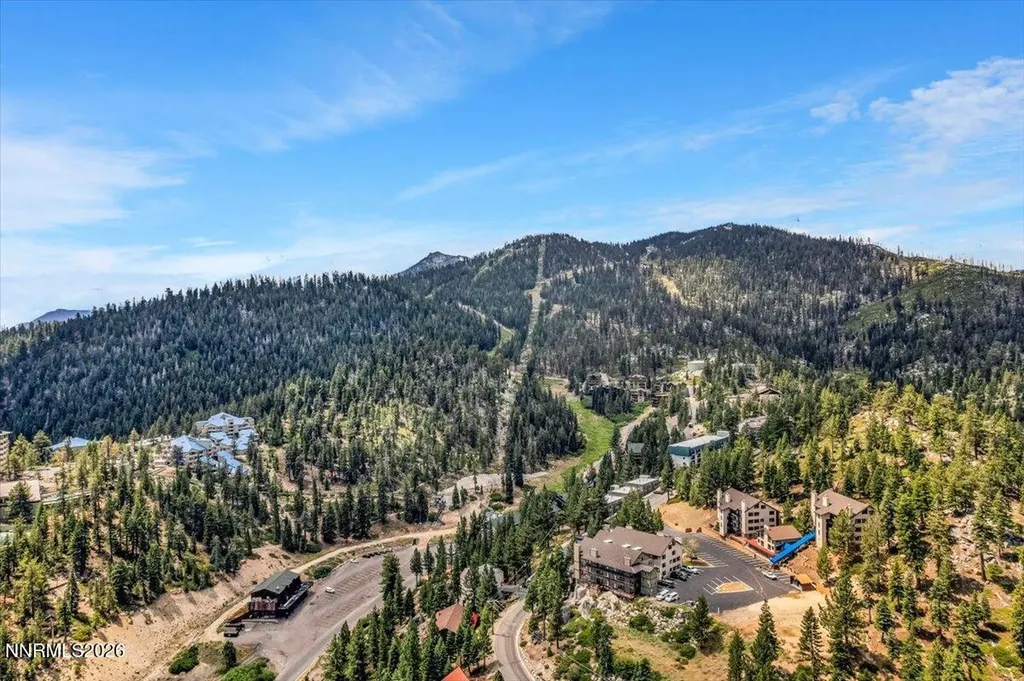 331 Tramway Stateline NV 89449
