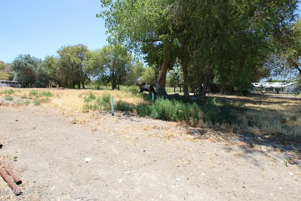 1300 Woody Fernley NV 89408