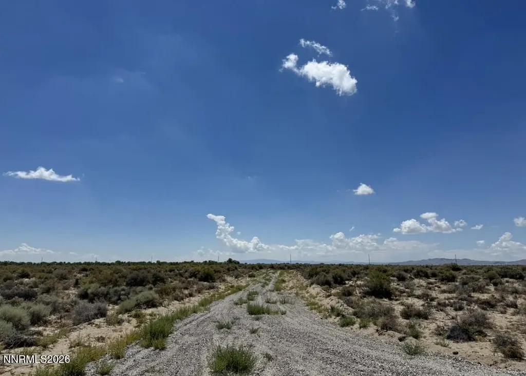 6774 Mustang Fallon NV 89406