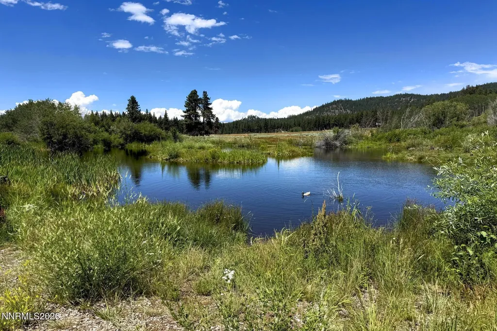 158 Aynes Stateline NV 89449