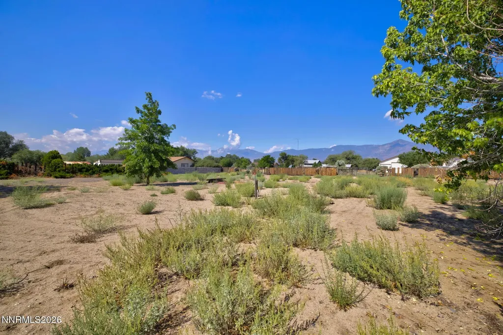 2724 Stewart Minden NV 89423
