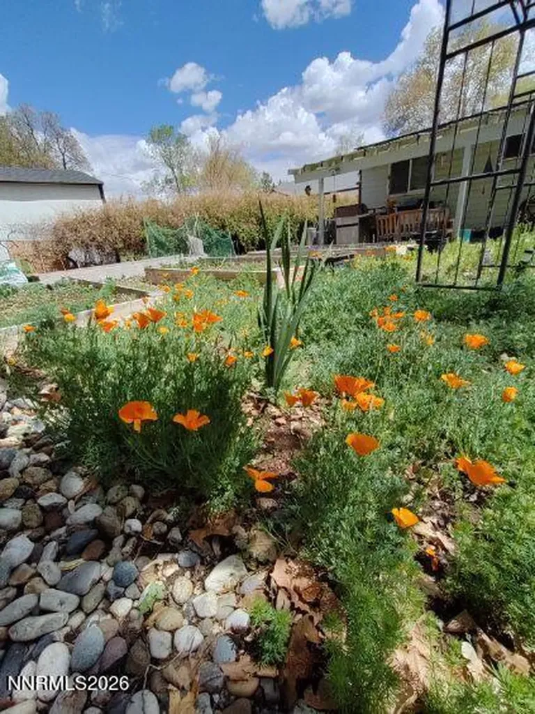 1025 Primrose Reno NV 89509