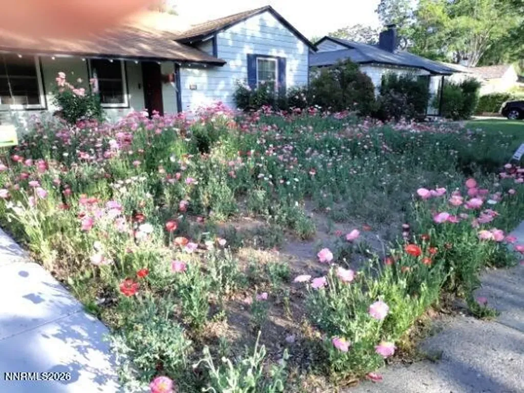 1025 Primrose Reno NV 89509