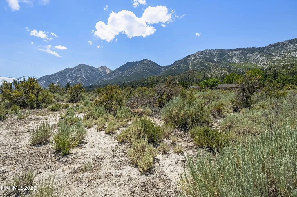 1151 Cary Creek Gardnerville NV 89460