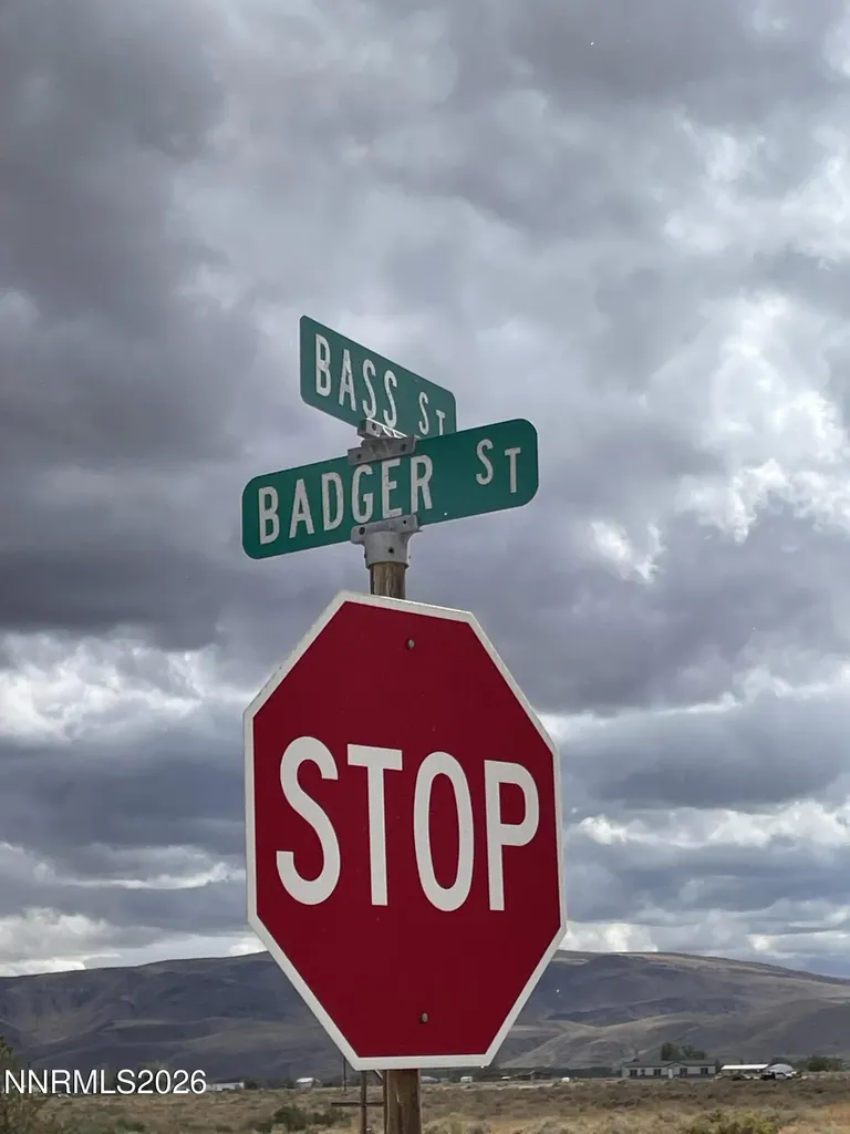 Silver Springs NV, 1840 Badger