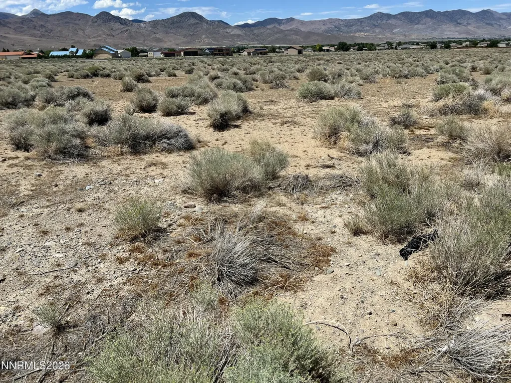 112 Lakes Dayton NV 89403