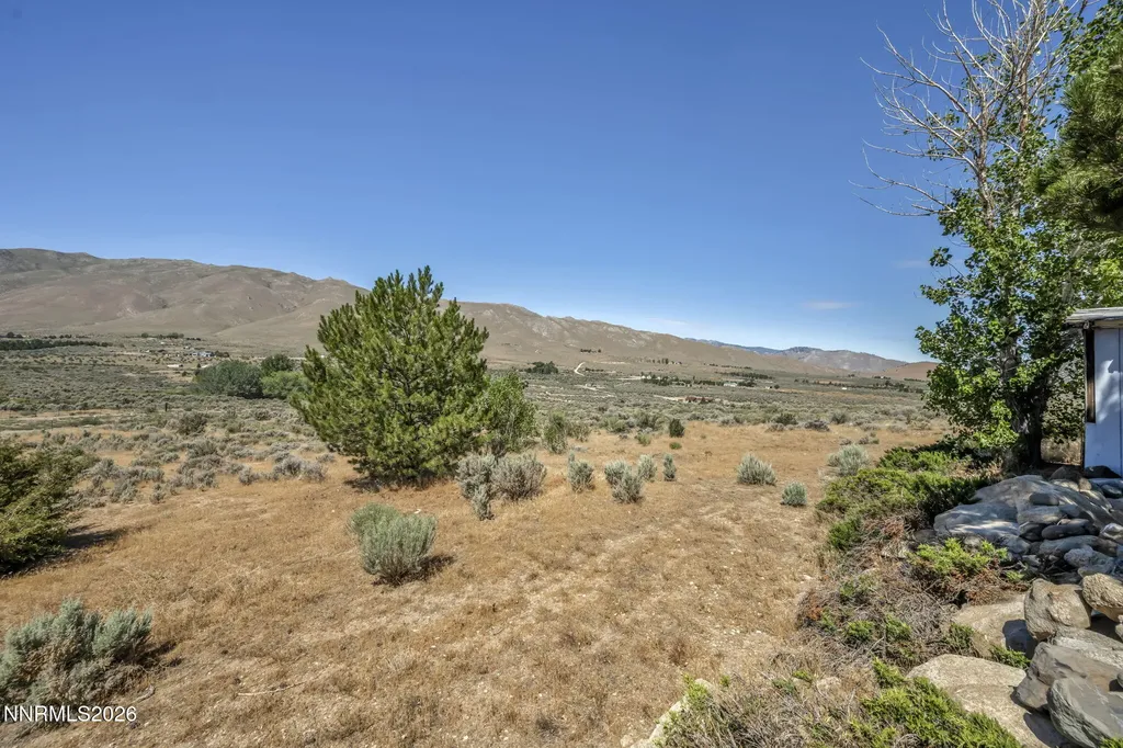 230 Quarter Horse Reno NV 89508