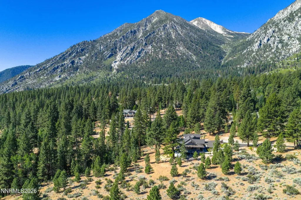 299 Five Creek Gardnerville NV 89460