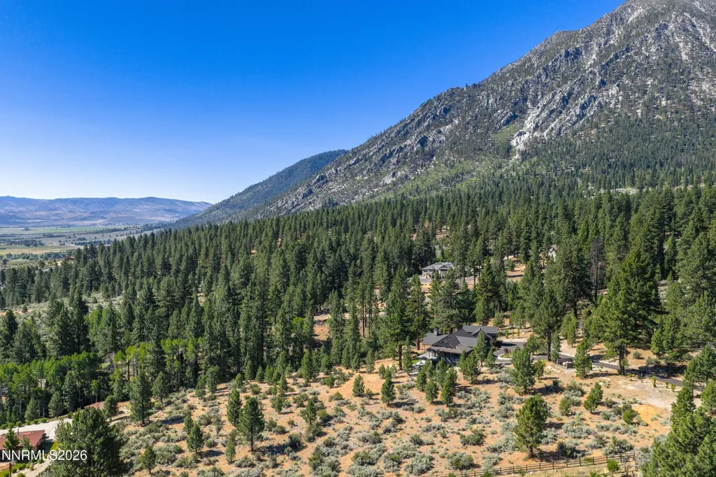 299 Five Creek Gardnerville NV 89460