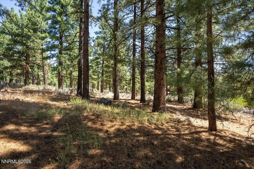 16730 Maggie Reno NV 89511