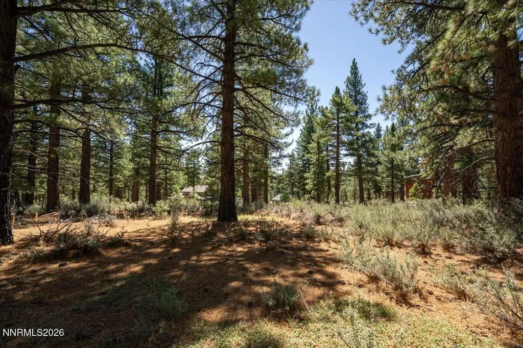 16730 Maggie Reno NV 89511