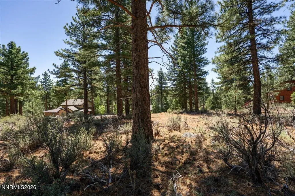 16730 Maggie Reno NV 89511