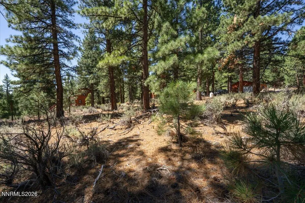 16730 Maggie Reno NV 89511