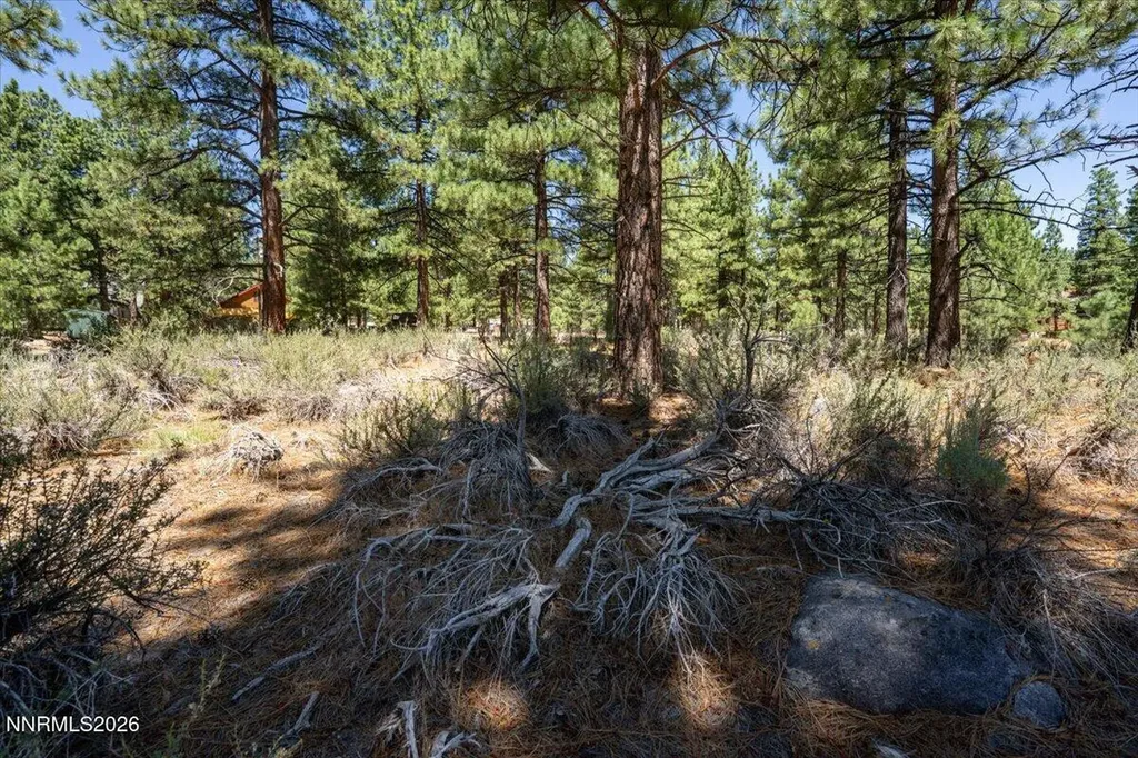 16730 Maggie Reno NV 89511