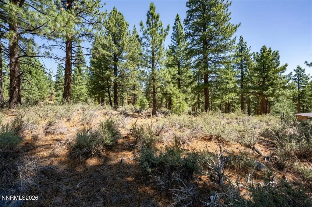 16730 Maggie Reno NV 89511
