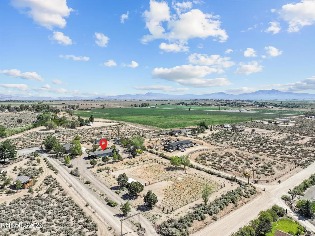40 Wild Peach Wellington NV 89444