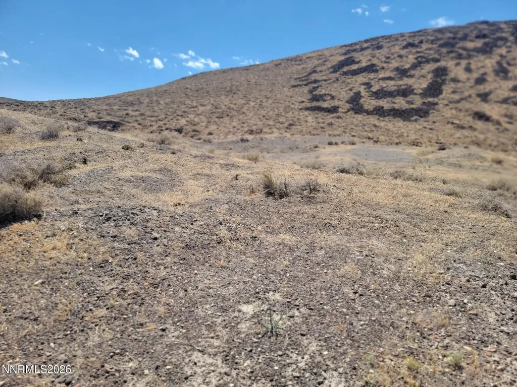 Apn 015-222-03 Silver Springs NV 89429