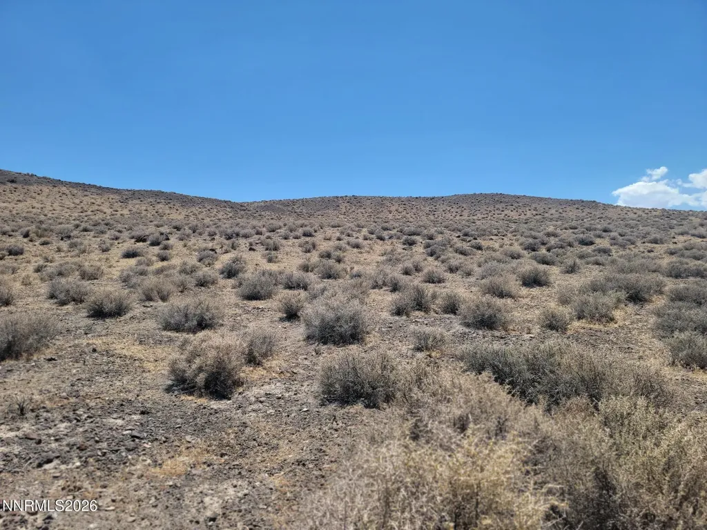 Apn 015-222-03 Silver Springs NV 89429
