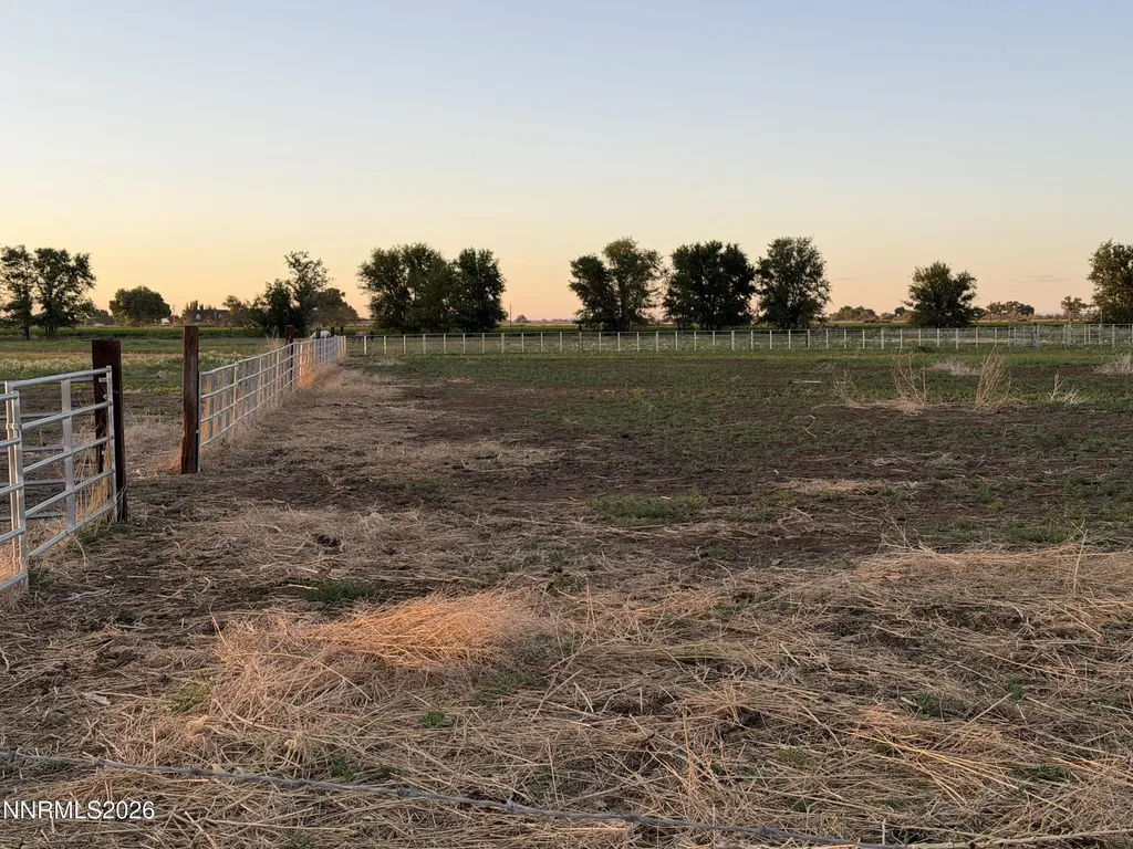 2025 Cushman Fallon NV 89406