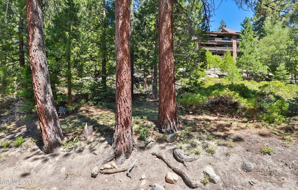 321 Ski Incline Village NV 89451