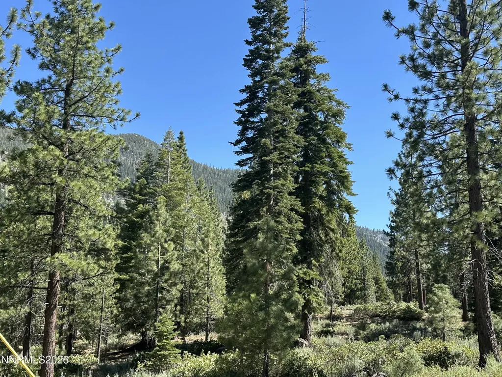 104 Daggett Stateline NV 89449