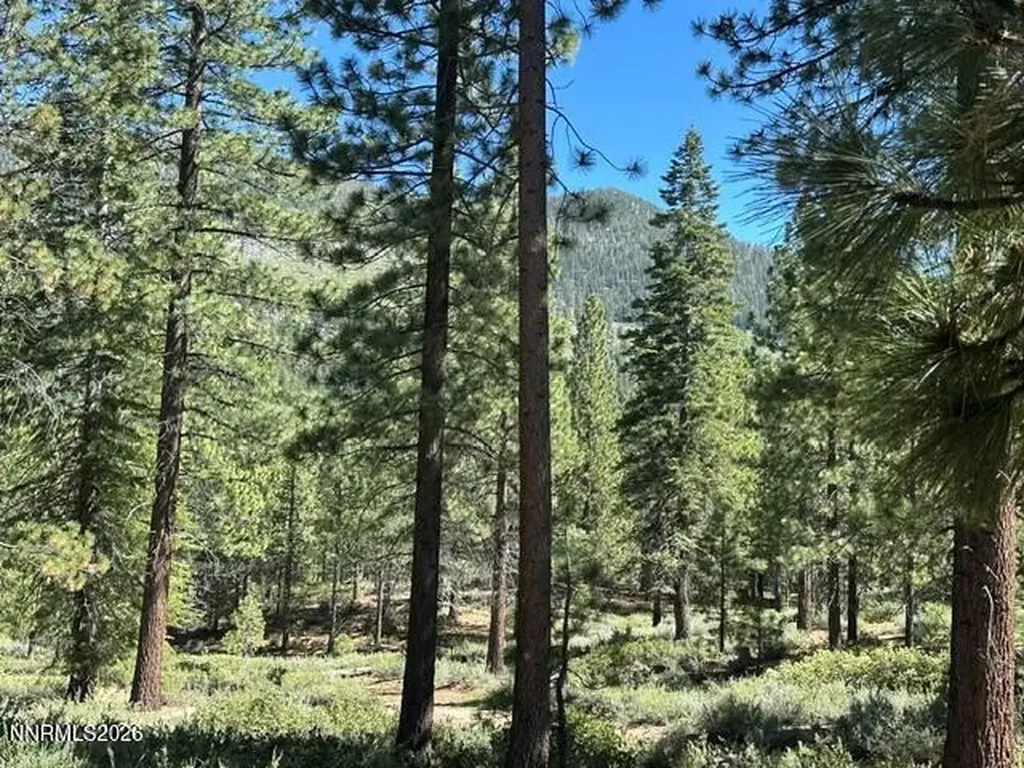 104 Daggett Stateline NV 89449