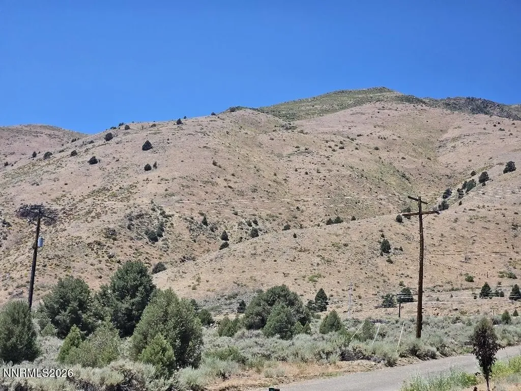 3462 Mark Twain Gardnerville NV 89410