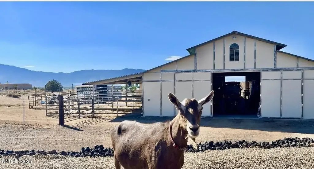 1281 Jo Gardnerville NV 89410