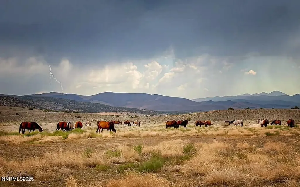 1281 Jo Gardnerville NV 89410