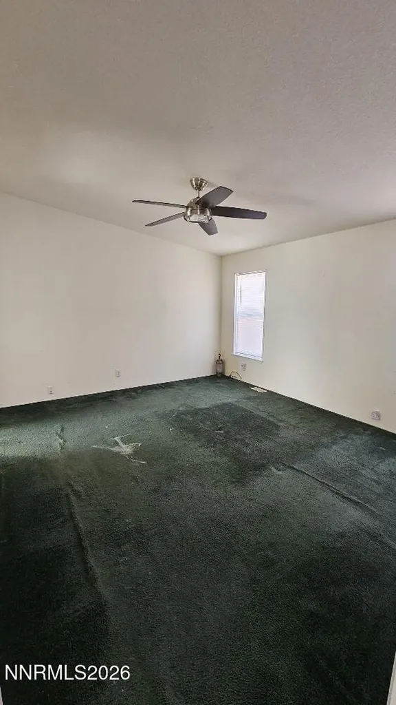 58 Venturacci Fallon NV 89406