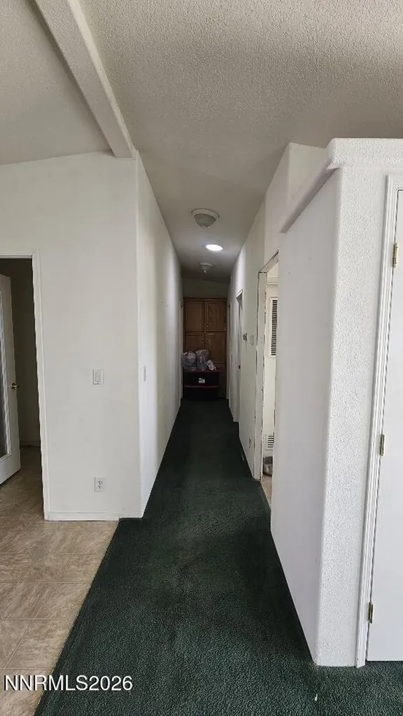 58 Venturacci Fallon NV 89406