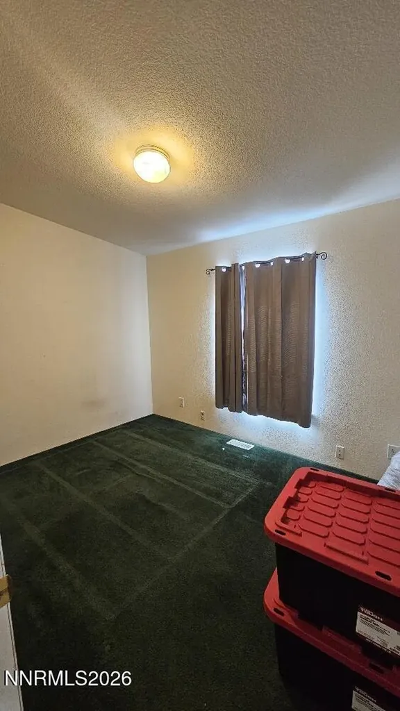 58 Venturacci Fallon NV 89406