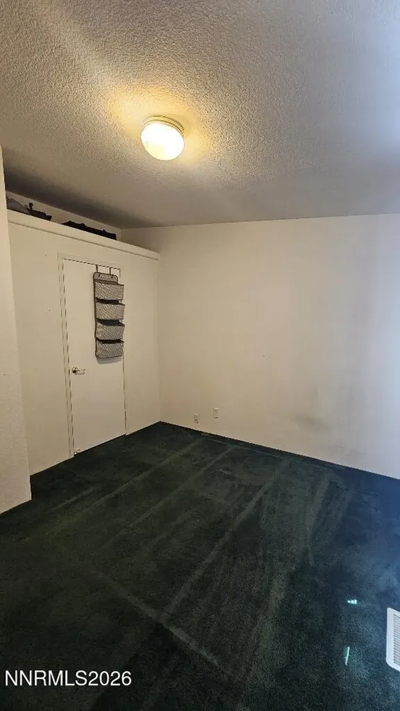 58 Venturacci Fallon NV 89406