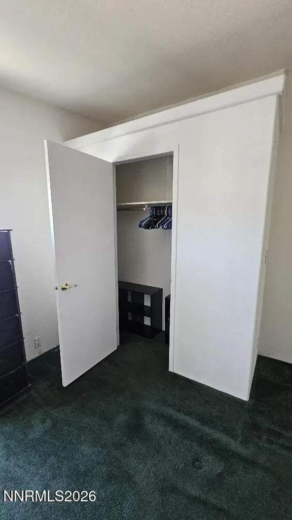 58 Venturacci Fallon NV 89406