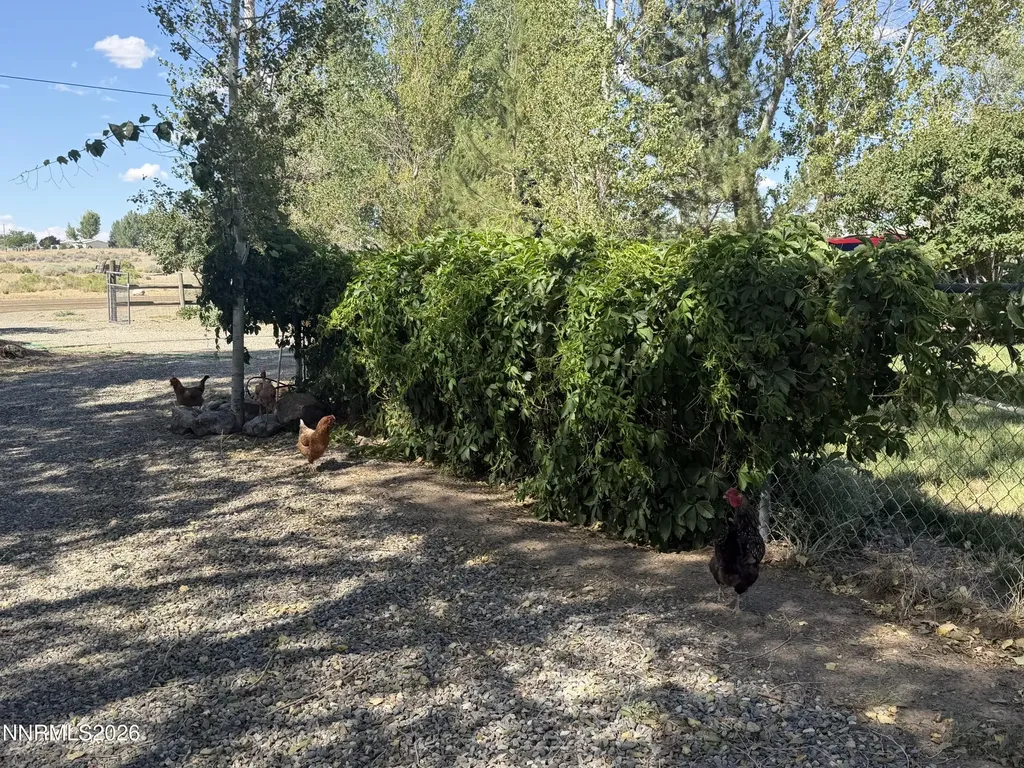 4690 Brayton Winnemucca NV 89445