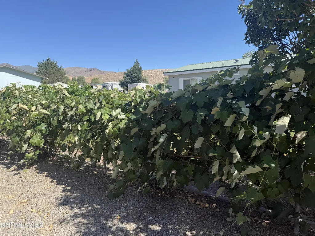 4690 Brayton Winnemucca NV 89445