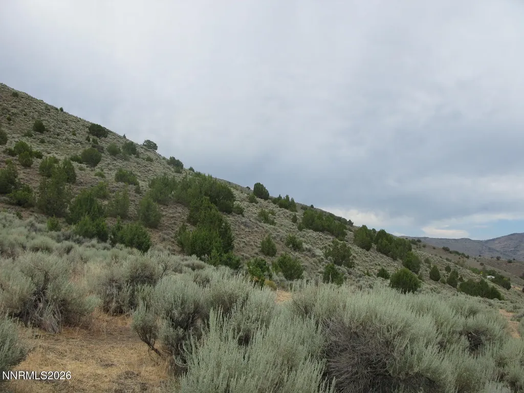 705 Pah Rah Springs Reno NV 89510