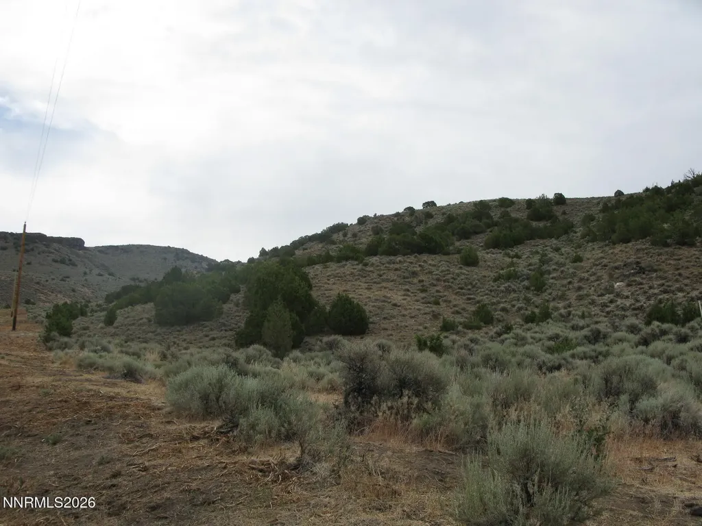 705 Pah Rah Springs Reno NV 89510