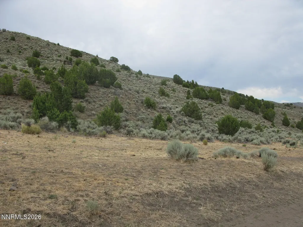 705 Pah Rah Springs Reno NV 89510