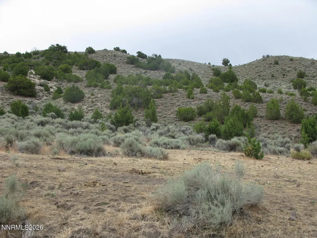 705 Pah Rah Springs Reno NV 89510